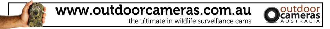 Wildlife survival cameras, outdoor cameras,
