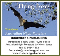 Latrobe, La trobe, la trobe nestboxes,, nest boxes, nestboxes, possum boxes, possum nest boxes, bats, insectivorous bats, parrot, parrots, parrot boxes, rosellas, lorikeets, rosella, lorikeet, duck, ducks, black ducks, black ducks, wood duck, wood ducks, tree hollows, chestnut teal, grey teal, teal, possums, brushtail, brushtail possums, ringtail possums, ringtail possum, sugar gliders, Australia, sugar glider, tree creepers, owlet nightjars, owls, pardalotes, kookaburras, kookaburra, wildlife rescue magazine, wildlife rescue, 